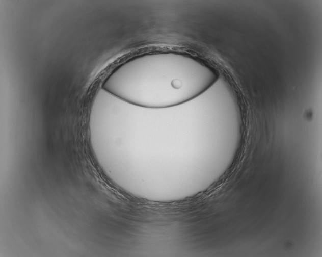 X0000115271352200912111154