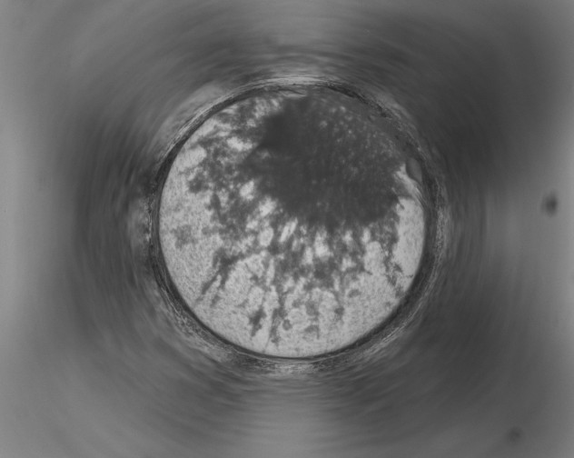 X0000115271353200912111154