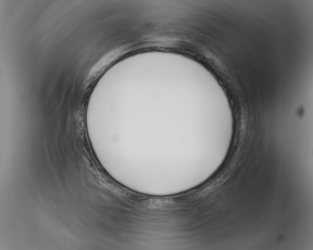 X0000115271354200912111153