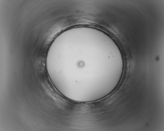 X0000115271355200912111153