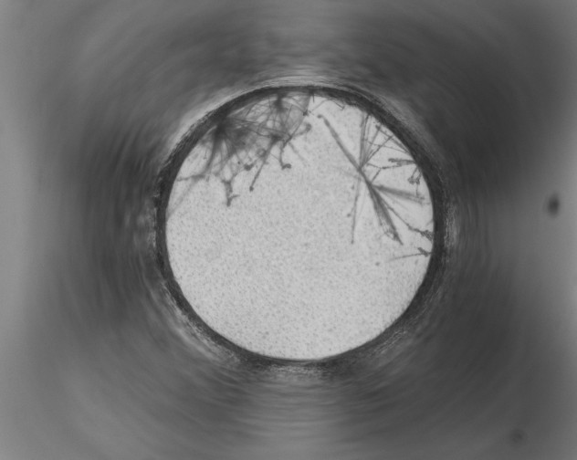 X0000115271356200912111153