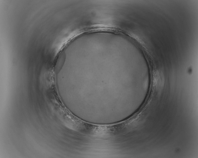 X0000115271357200912111153