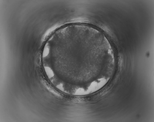 X0000115271358200912111153