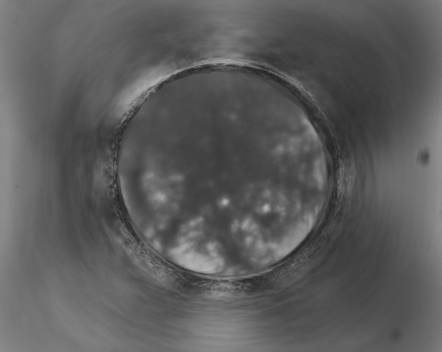 X0000115271359200912111153