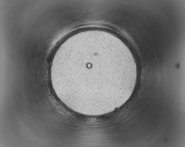 X0000115271360200912111153