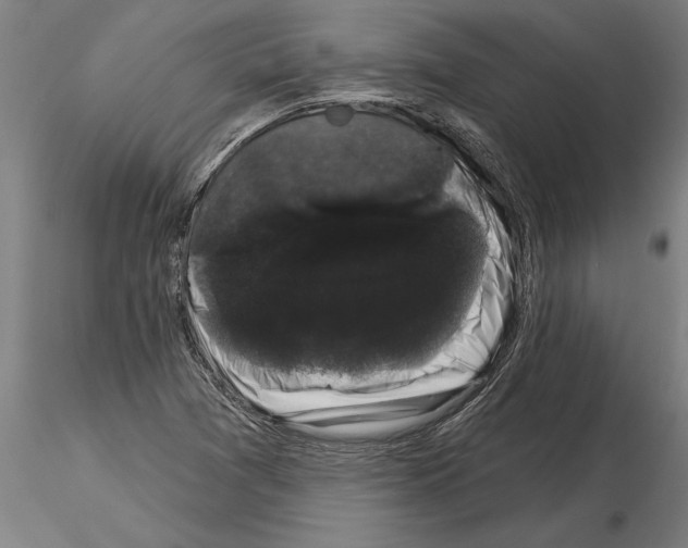 X0000115271361200912111153