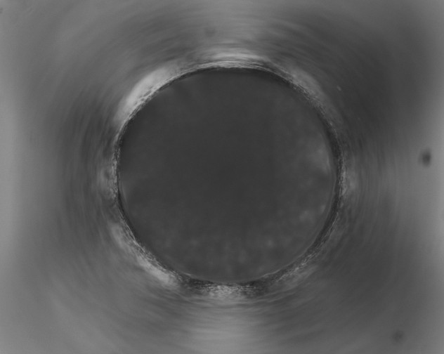 X0000115271362200912111153