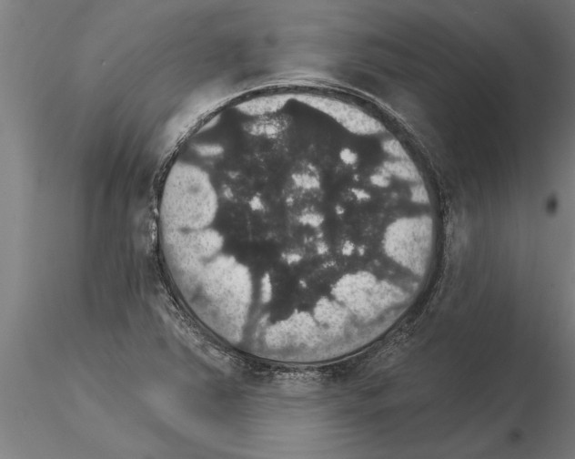 X0000115271363200912111153