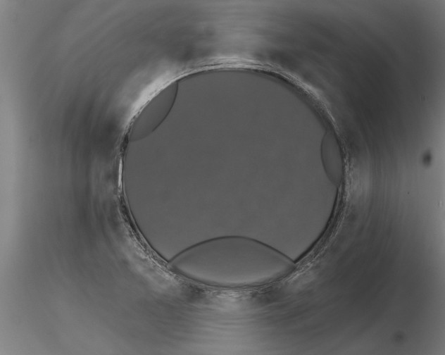 X0000115271365200912111153