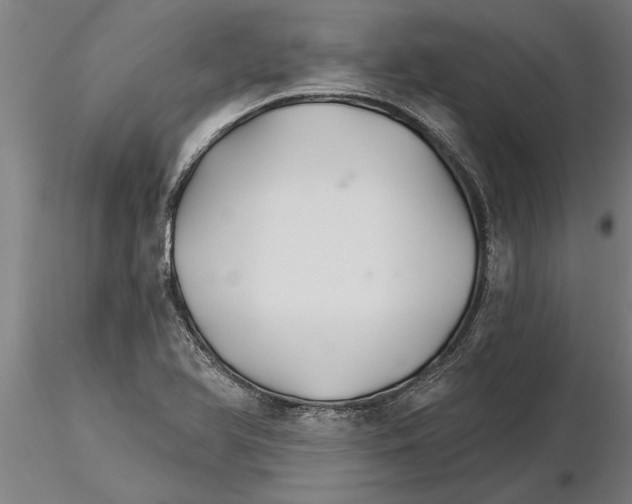 X0000115271366200912111153