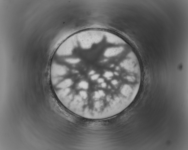 X0000115271367200912111153