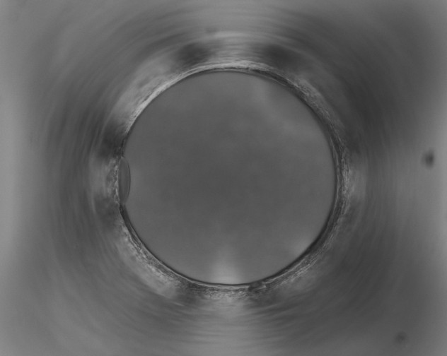 X0000115271369200912111153