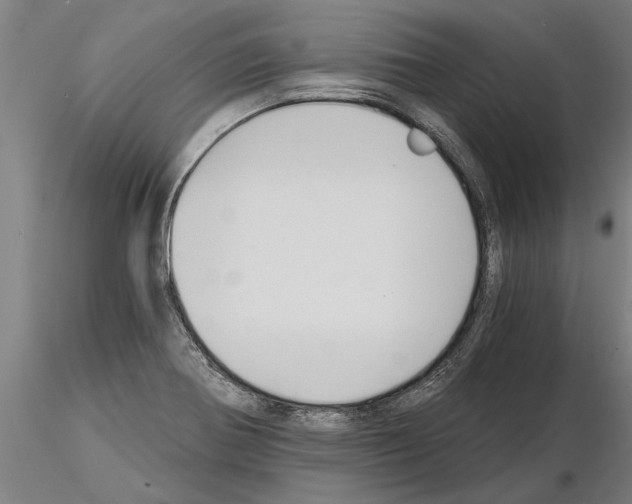 X0000115271370200912111153