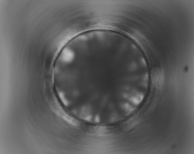 X0000115271371200912111153