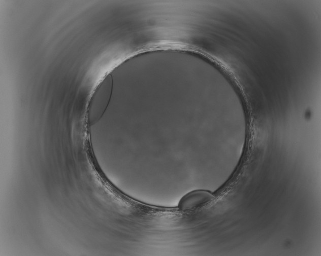 X0000115271373200912111153