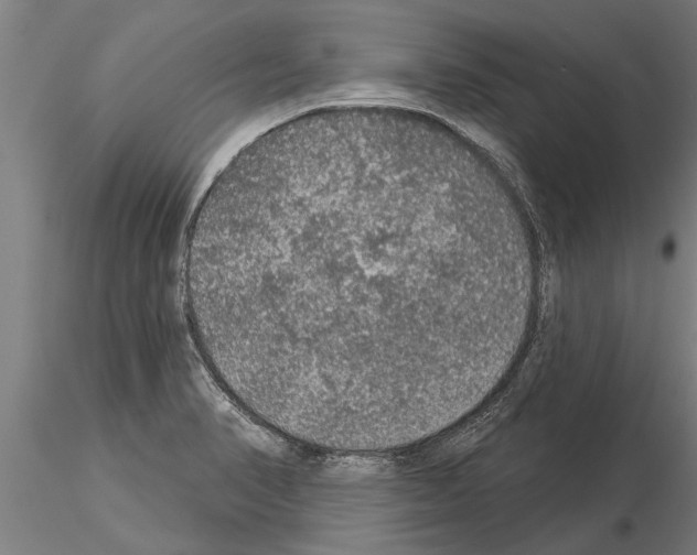 X0000115271374200912111153