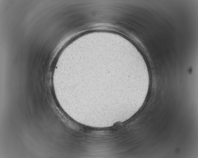 X0000115271376200912111153