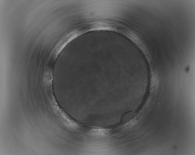 X0000115271377200912111153