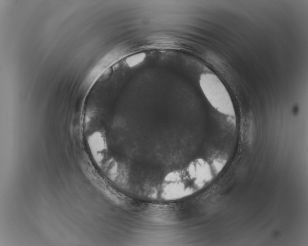 X0000115271378200912111153