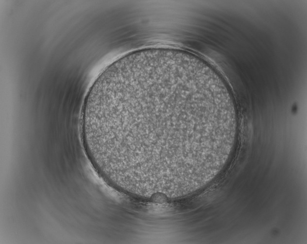 X0000115271379200912111153