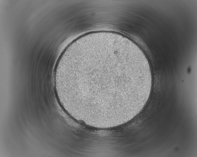 X0000115271380200912111153