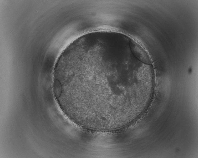 X0000115271381200912111153