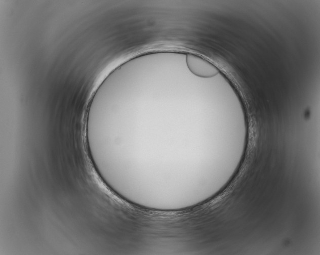 X0000115271382200912111153