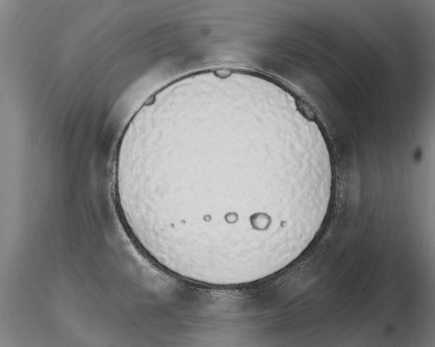 X0000115271383200912111153