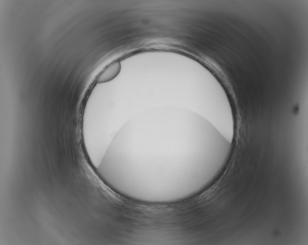 X0000115271384200912111153