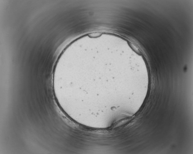 X0000115271388200912111153