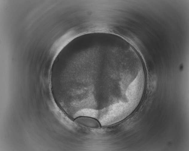 X0000115271389200912111153