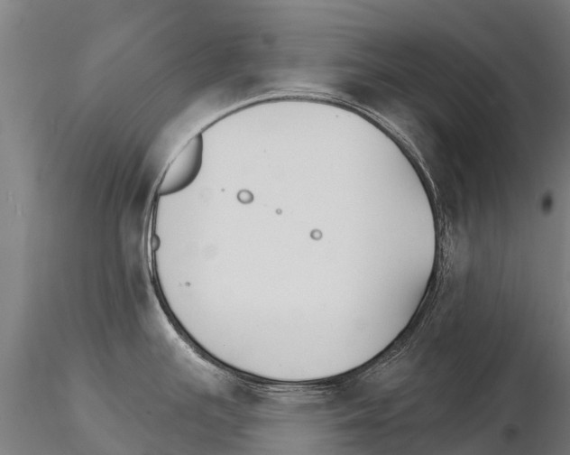 X0000115271391200912111153