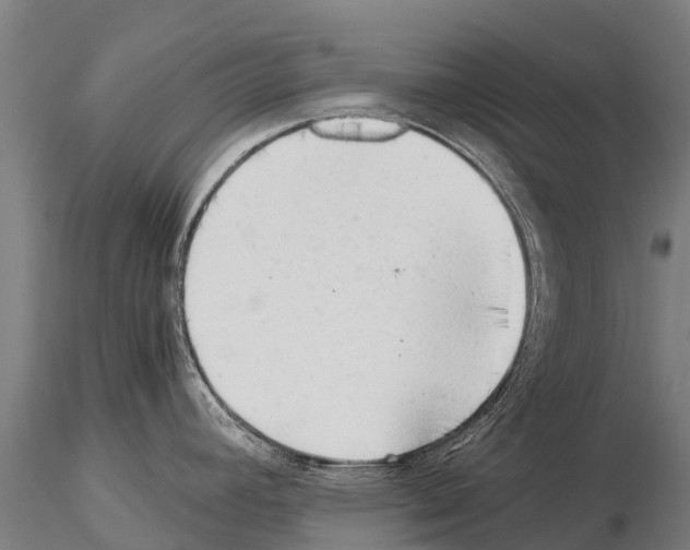 X0000115271392200912111153