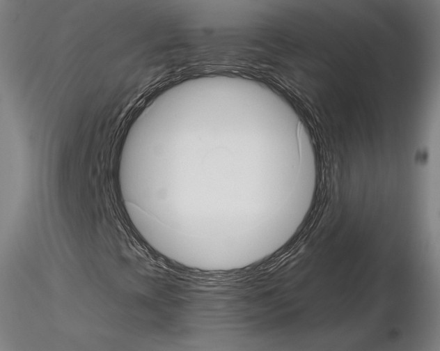 X0000115271393200912111152