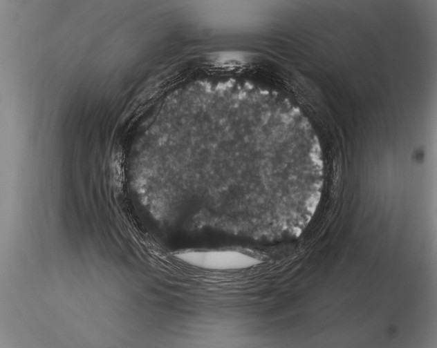 X0000115271394200912111152