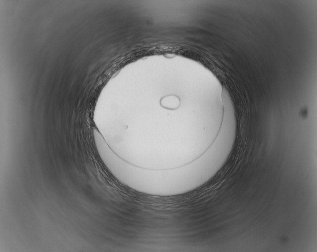 X0000115271395200912111152