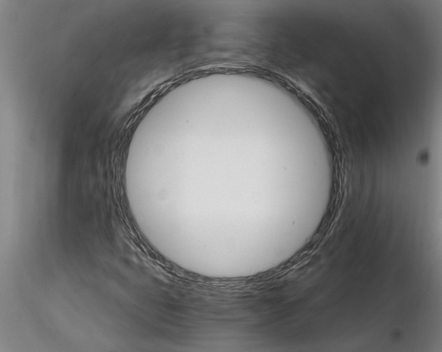 X0000115271399200912111152