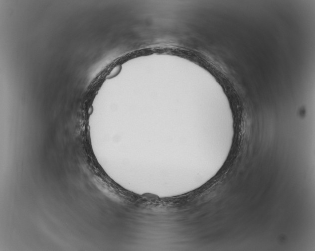 X0000115271400200912111152