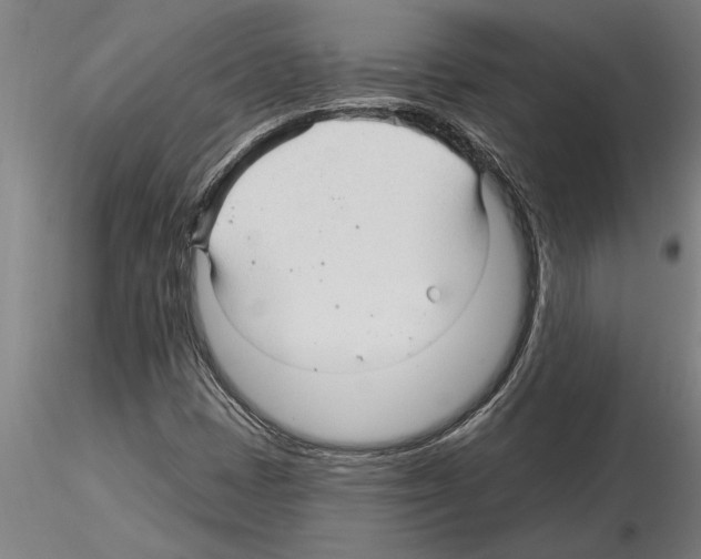 X0000115271401200912111152