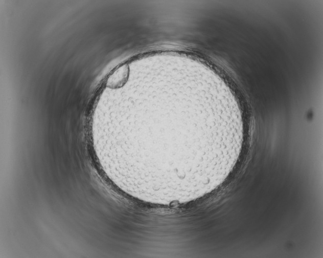 X0000115271404200912111152