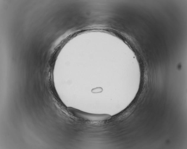 X0000115271406200912111152