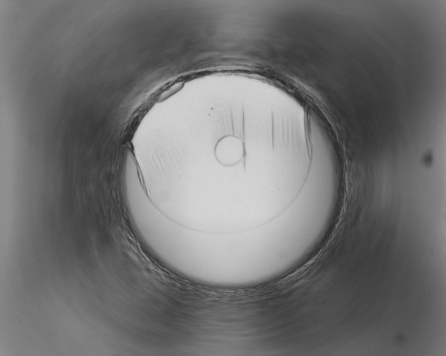 X0000115271407200912111153