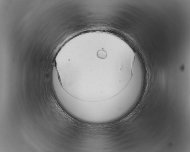 X0000115271409200912111153