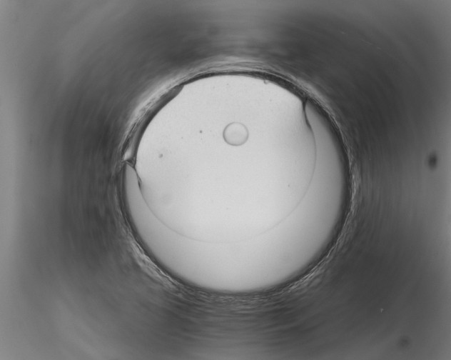 X0000115271413200912111153