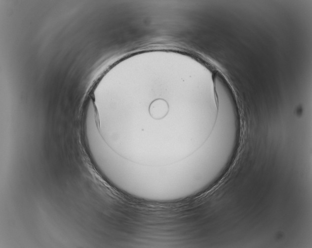 X0000115271415200912111153