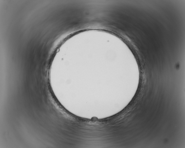 X0000115271416200912111153