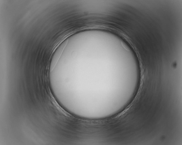 X0000115271417200912111153