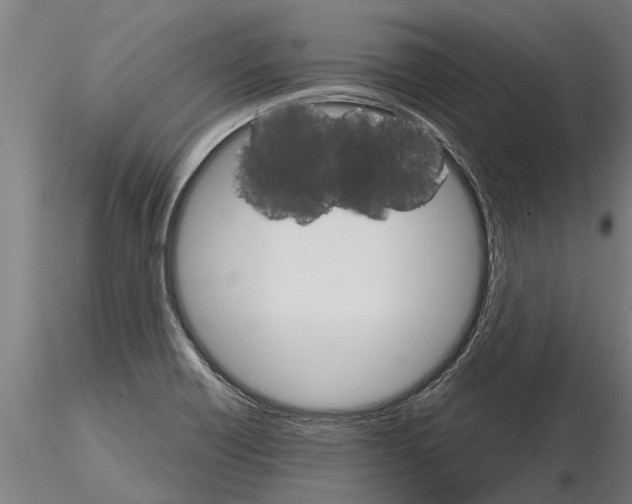 X0000115271418200912111153