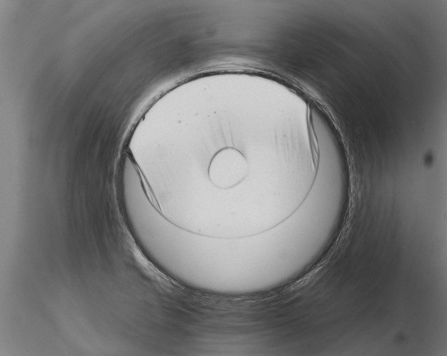 X0000115271421200912111153