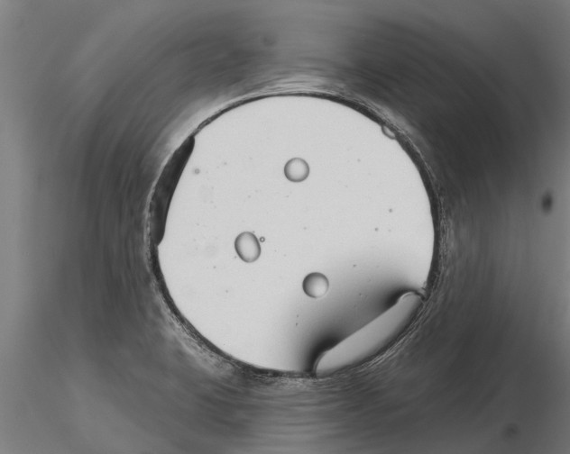 X0000115271423200912111153